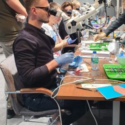 szkolenie endodontyczne