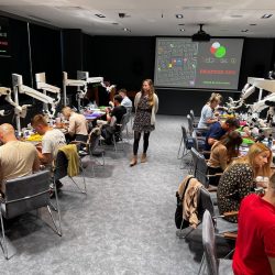 szkolenie endodontyczne