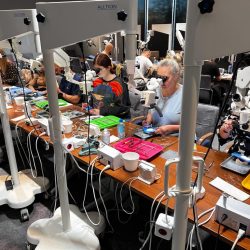 szkolenie endodontyczne