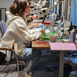 Szkolenie endodontyczne