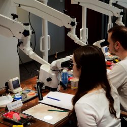 Szkolenie endodontyczne